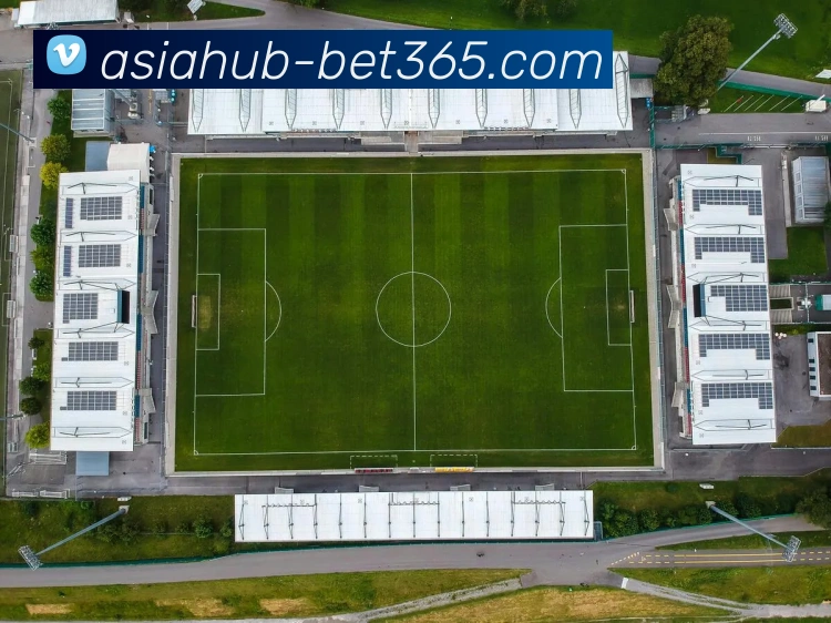 多媒体互动体验